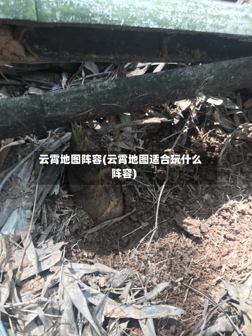 云霄地图阵容(云霄地图适合玩什么阵容)-第3张图片