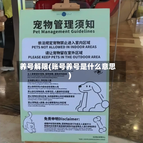 养号解限(账号养号是什么意思)