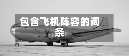 包含飞机阵容的词条-第2张图片