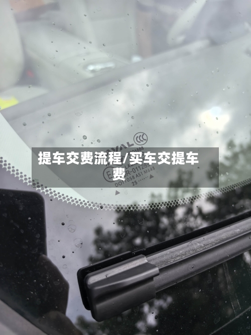 提车交费流程/买车交提车费