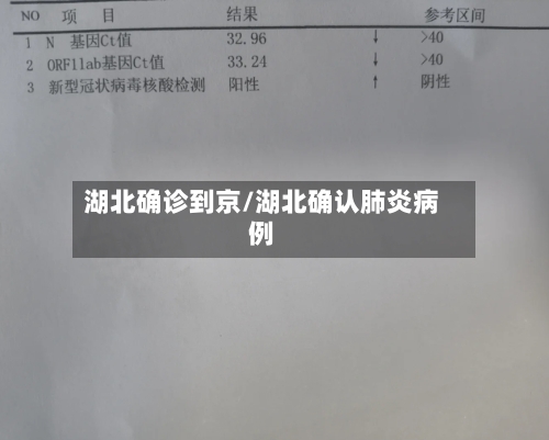 湖北确诊到京/湖北确认肺炎病例