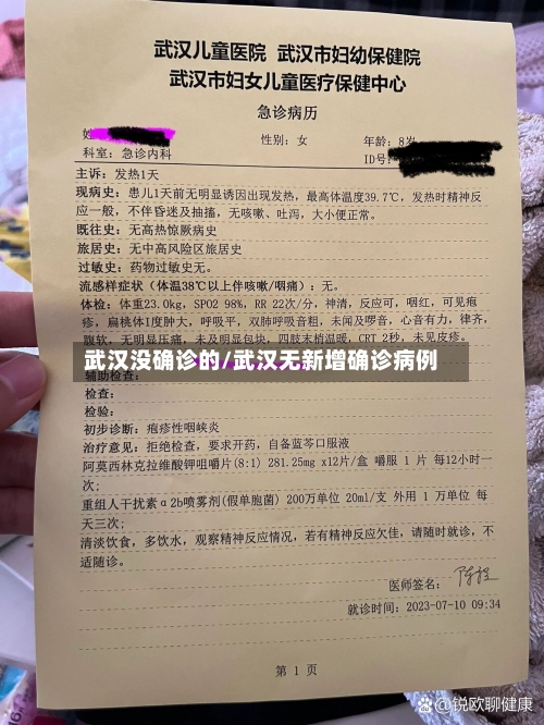 武汉没确诊的/武汉无新增确诊病例
