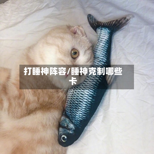 打睡神阵容/睡神克制哪些卡