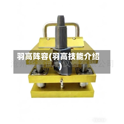 羽高阵容(羽高技能介绍)