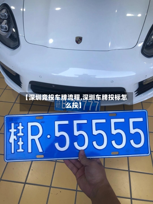 【深圳竞投车牌流程,深圳车牌投标怎么投】
