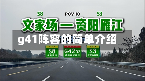 g41阵容的简单介绍