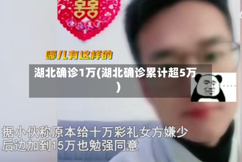湖北确诊1万(湖北确诊累计超5万)-第2张图片