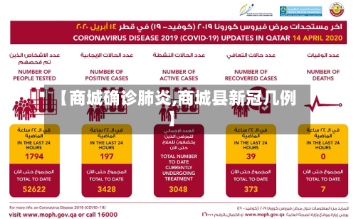 【商城确诊肺炎,商城县新冠几例】-第3张图片