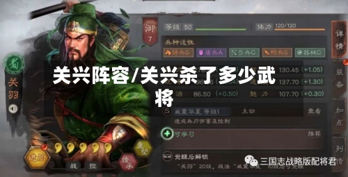 关兴阵容/关兴杀了多少武将-第2张图片