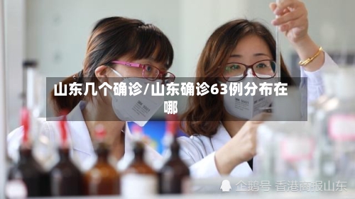 山东几个确诊/山东确诊63例分布在哪