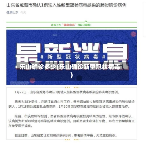 乐山确诊多少(乐山确诊新型冠状病毒)-第3张图片