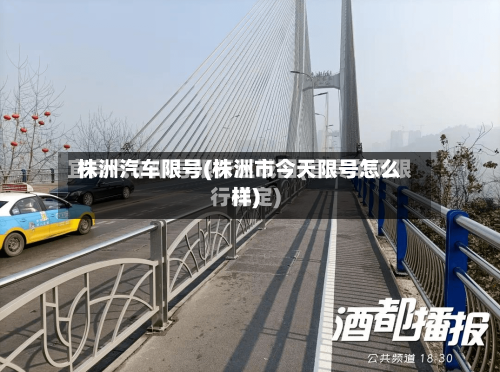 株洲汽车限号(株洲市今天限号怎么样)