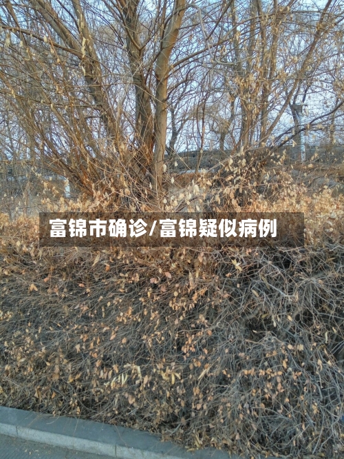 富锦市确诊/富锦疑似病例