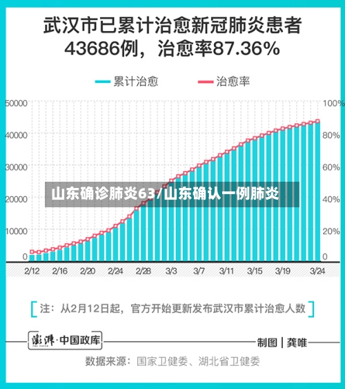 山东确诊肺炎63/山东确认一例肺炎-第3张图片