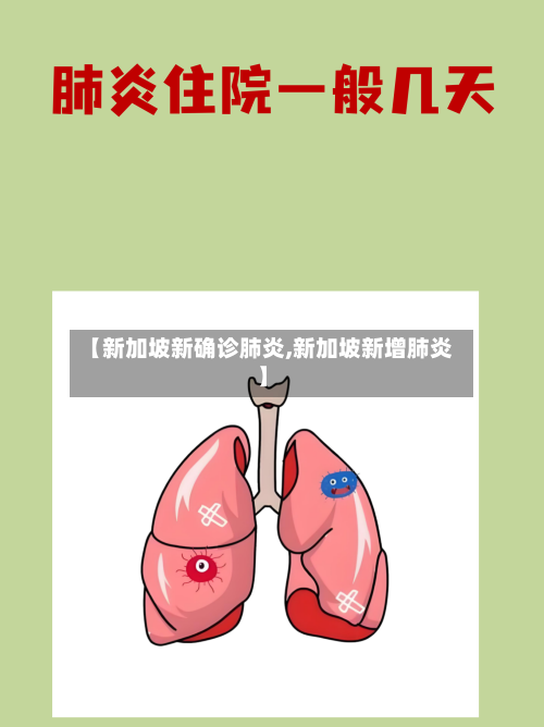 【新加坡新确诊肺炎,新加坡新增肺炎】-第3张图片