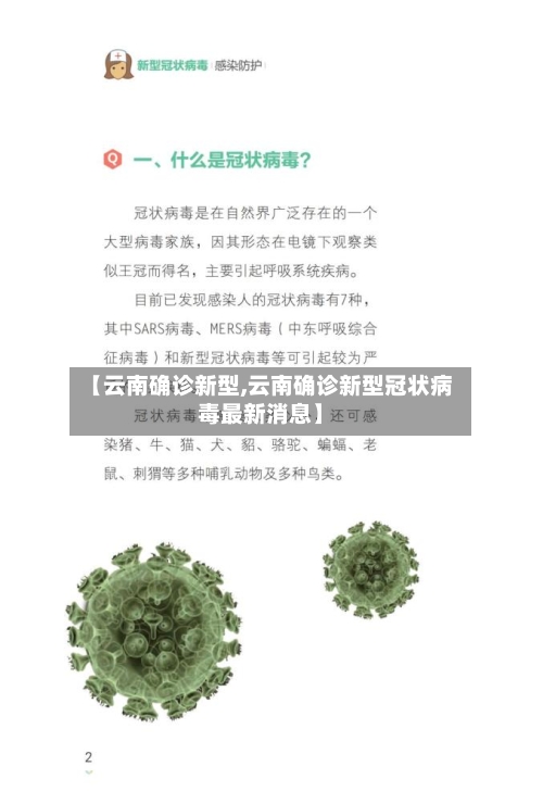 【云南确诊新型,云南确诊新型冠状病毒最新消息】-第3张图片