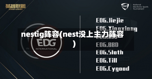 nestig阵容(nest没上主力阵容)