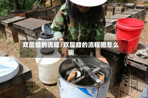 双层蜡的流程/双层蜡的流程图怎么画