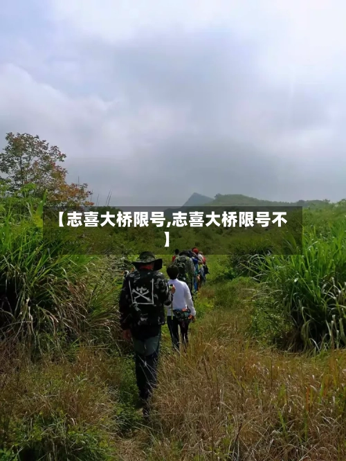 【志喜大桥限号,志喜大桥限号不】-第2张图片
