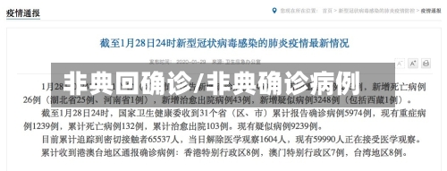 非典回确诊/非典确诊病例