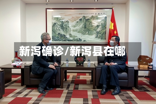 新泻确诊/新泻县在哪-第3张图片