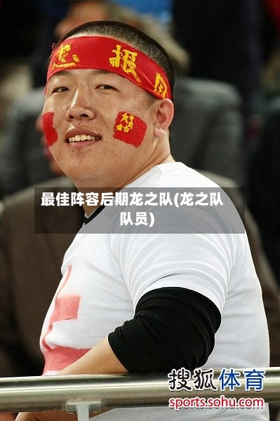 最佳阵容后期龙之队(龙之队队员)-第2张图片