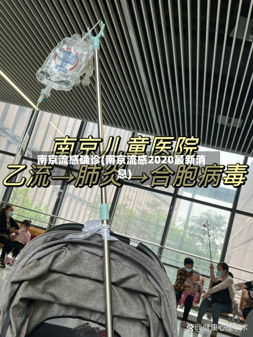 南京流感确诊(南京流感2020最新消息)-第2张图片