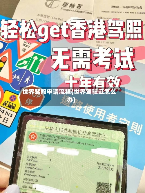 世界驾照申请流程(世界驾驶证怎么办)-第2张图片