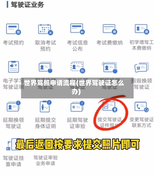 世界驾照申请流程(世界驾驶证怎么办)