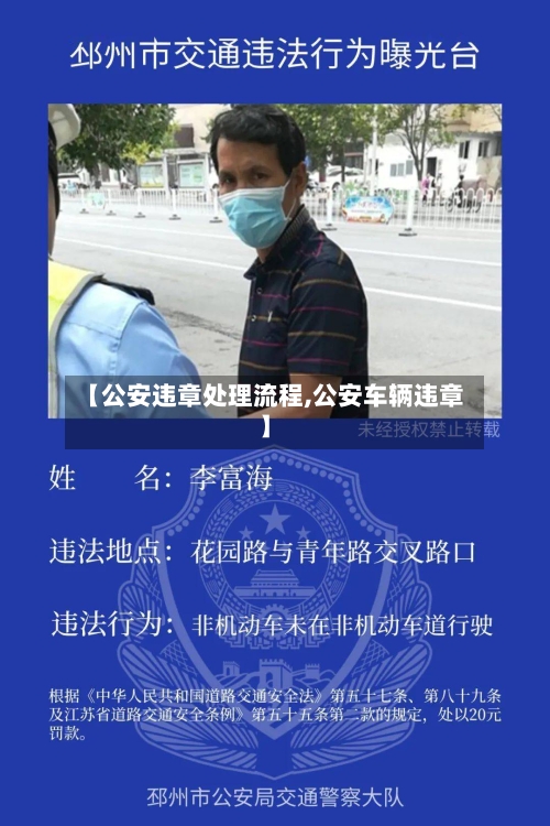 【公安违章处理流程,公安车辆违章】-第3张图片
