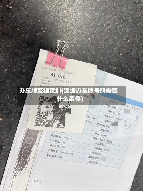 办车牌流程深圳(深圳办车牌号码需要什么条件)-第3张图片