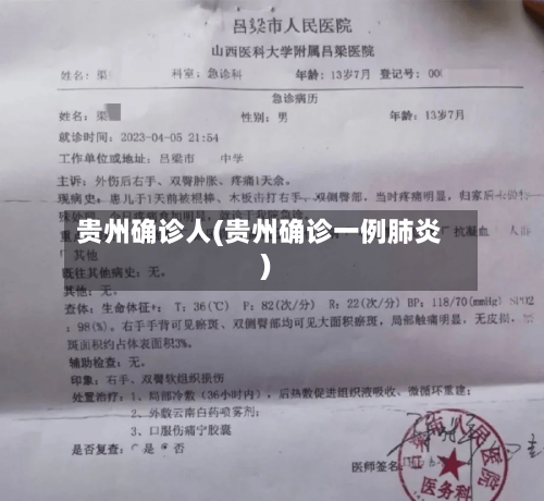 贵州确诊人(贵州确诊一例肺炎)-第2张图片