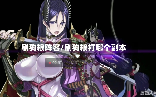 刷狗粮阵容/刷狗粮打哪个副本