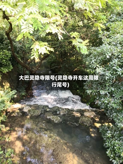 大巴灵隐寺限号(灵隐寺开车这周限行尾号)-第2张图片