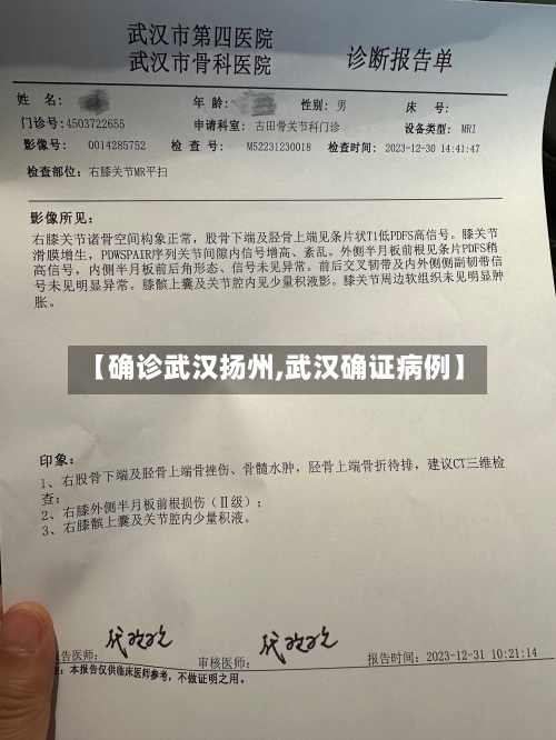 【确诊武汉扬州,武汉确证病例】-第2张图片