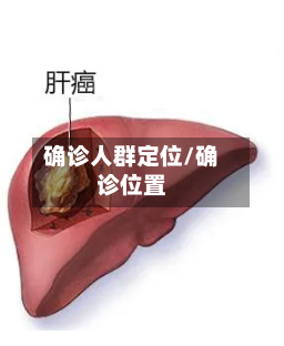 确诊人群定位/确诊位置-第2张图片