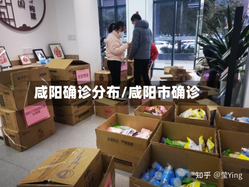 咸阳确诊分布/咸阳市确诊
