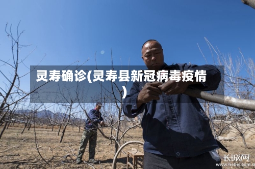灵寿确诊(灵寿县新冠病毒疫情)