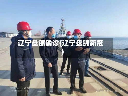辽宁盘锦确诊(辽宁盘锦新冠)