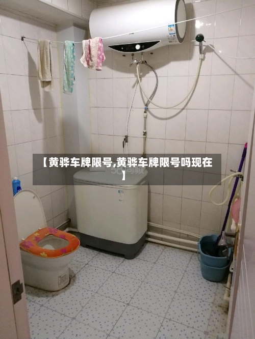 【黄骅车牌限号,黄骅车牌限号吗现在】-第2张图片