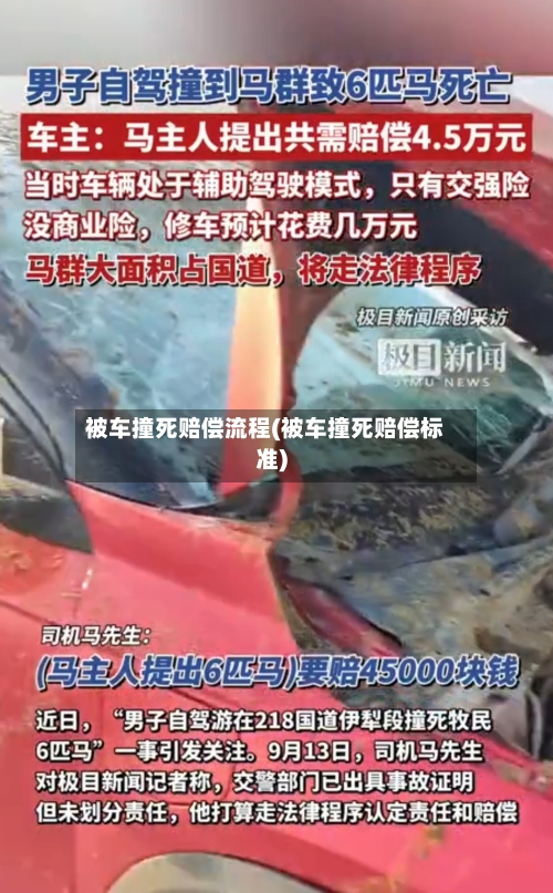 被车撞死赔偿流程(被车撞死赔偿标准)