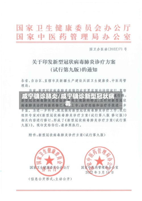 咸宁确诊肺炎/咸宁确诊新型冠状病毒