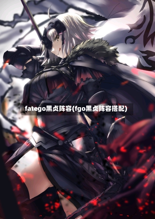 fatego黑贞阵容(fgo黑贞阵容搭配)