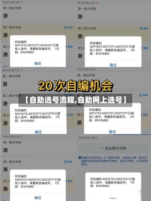 【自助选号流程,自助网上选号】