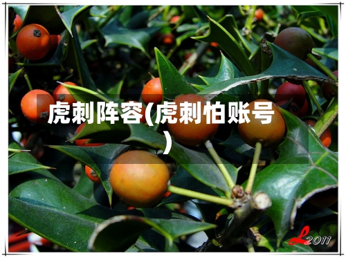 虎刺阵容(虎刺怕账号)