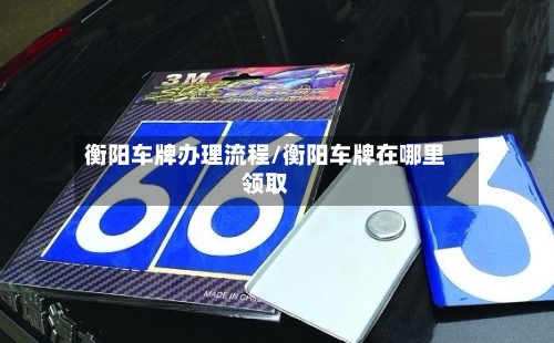 衡阳车牌办理流程/衡阳车牌在哪里领取