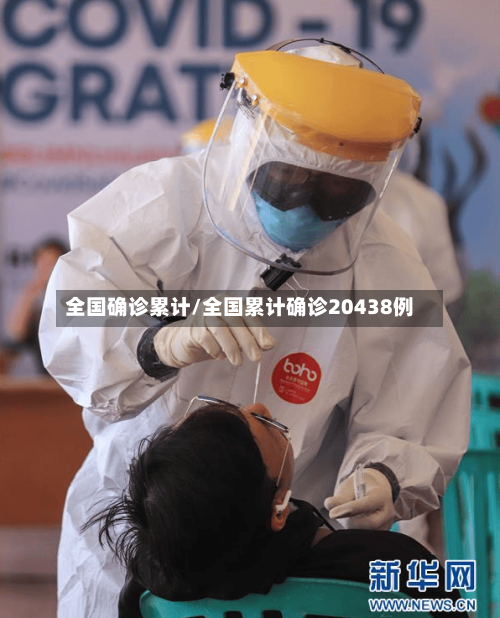 全国确诊累计/全国累计确诊20438例-第2张图片