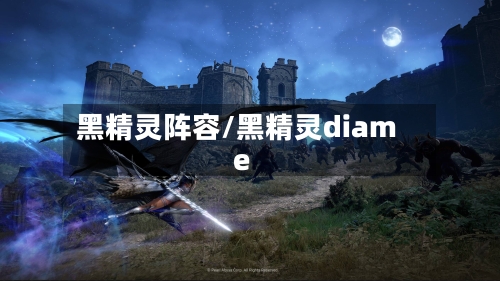 黑精灵阵容/黑精灵diame