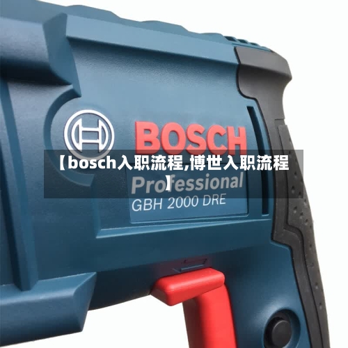 【bosch入职流程,博世入职流程】-第3张图片