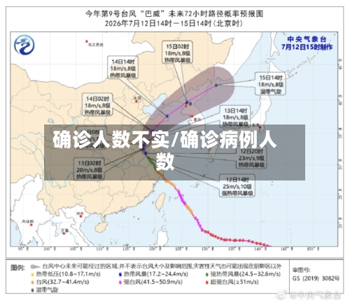 确诊人数不实/确诊病例人数-第2张图片